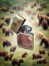 Copper Bear Head Zippo Lighter