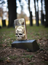 Bronze Skull Slim Zippo!